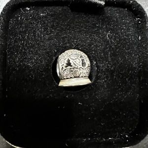 Limited edition charm wonderland